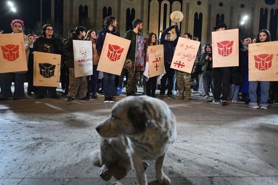 Georgia Protests