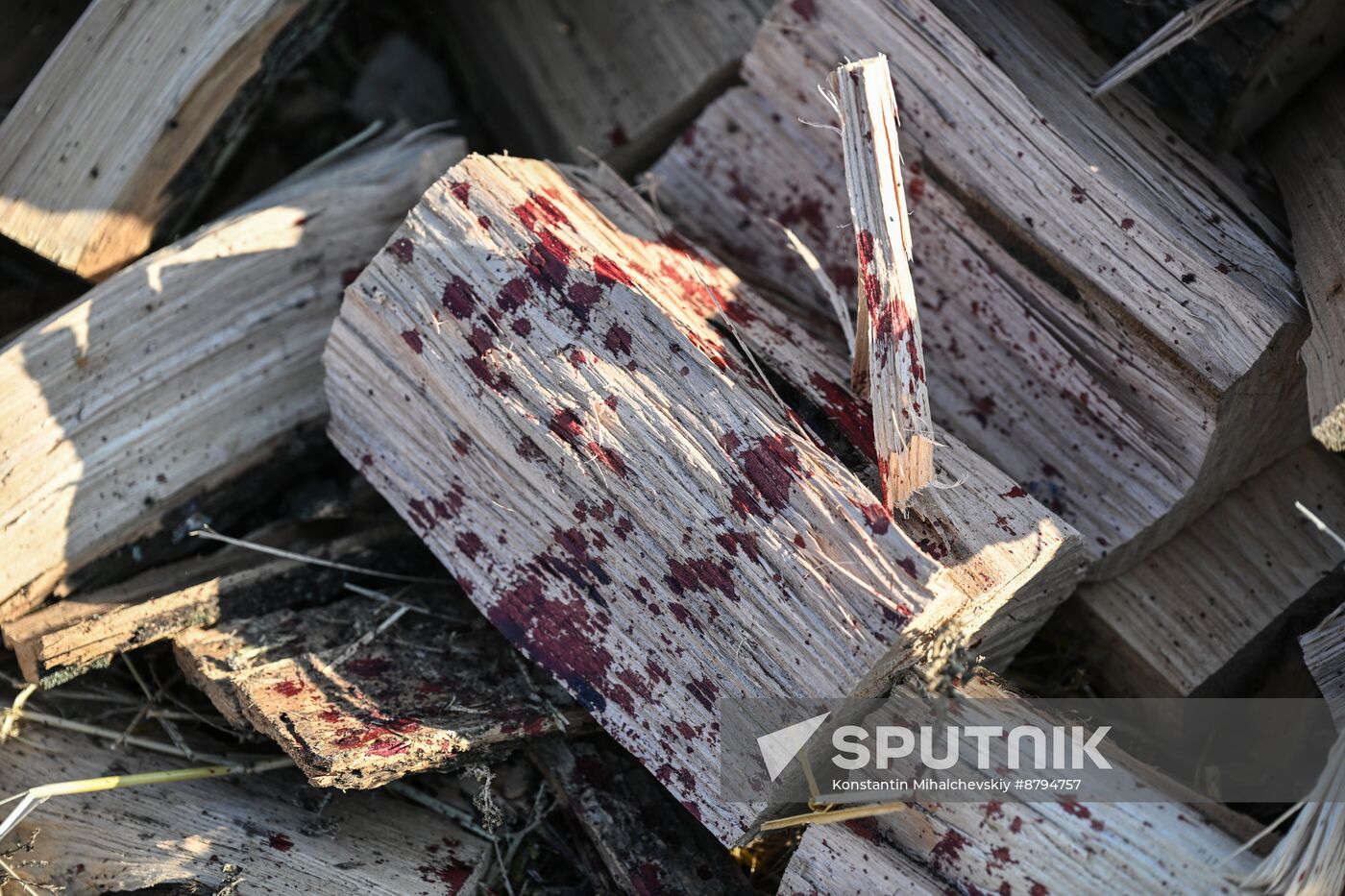Russia Ukraine Zaporozhye Region Shelling
