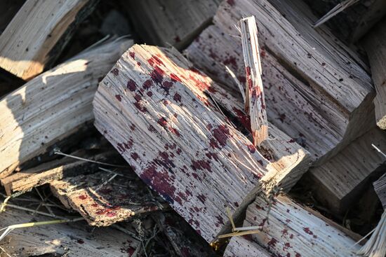 Russia Ukraine Zaporozhye Region Shelling