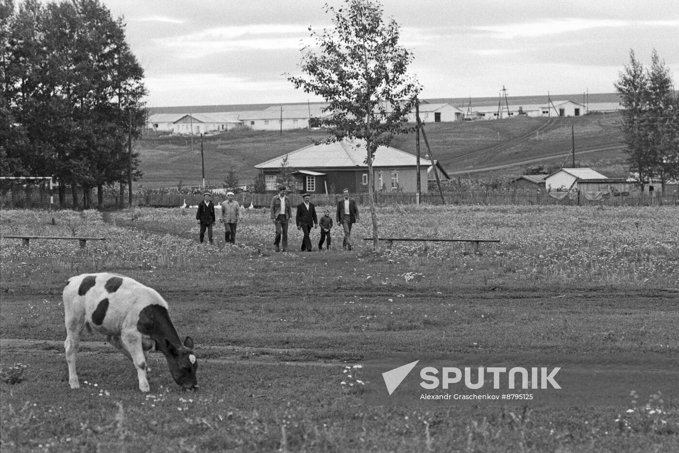 Krasnodarsky State Farm, Altai Territory
