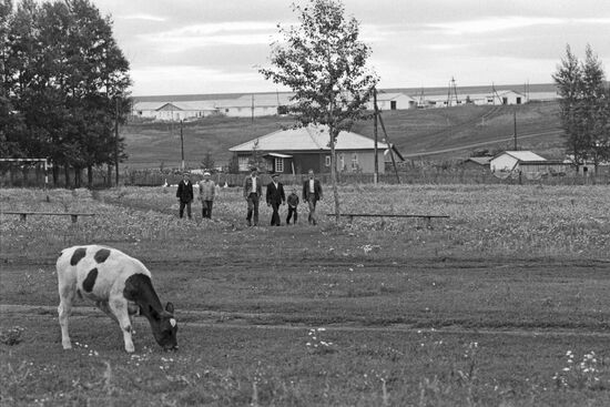 Krasnodarsky State Farm, Altai Territory