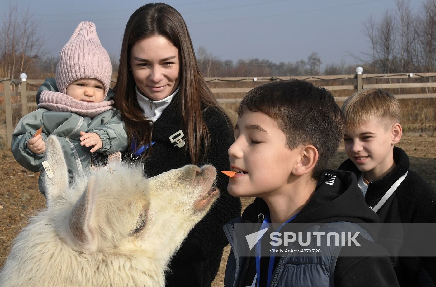 Russia Alpaca Farm