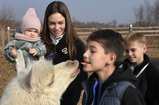 Russia Alpaca Farm