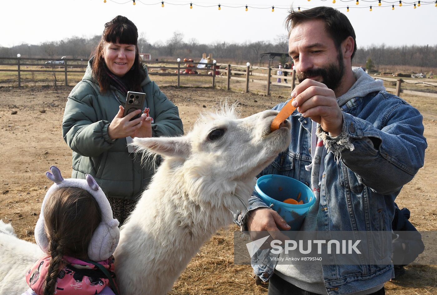 Russia Alpaca Farm