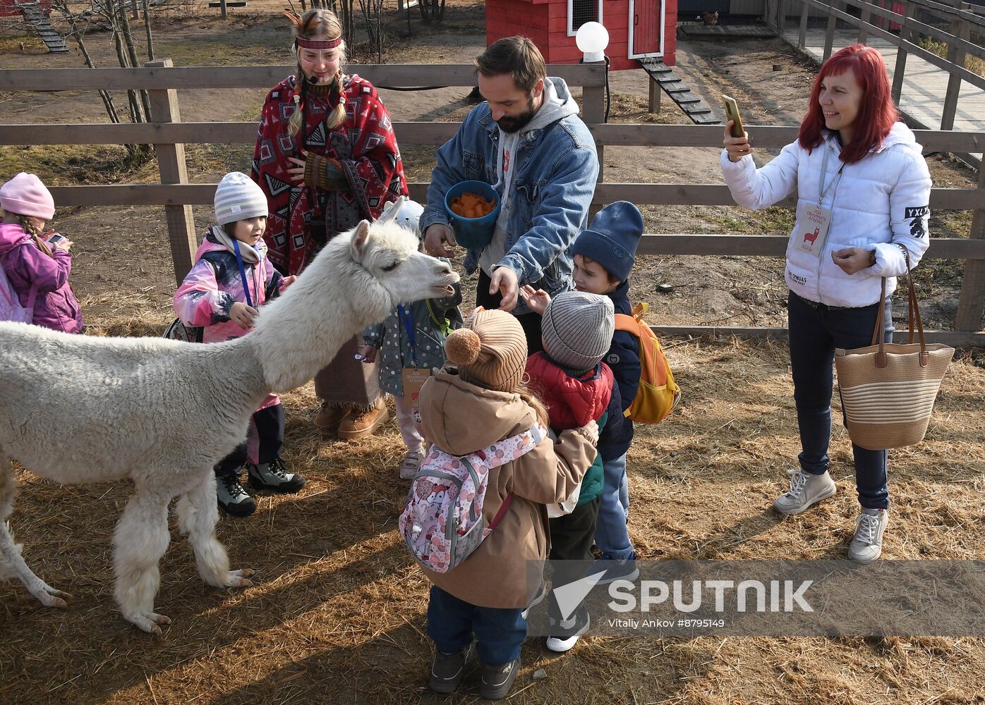 Russia Alpaca Farm