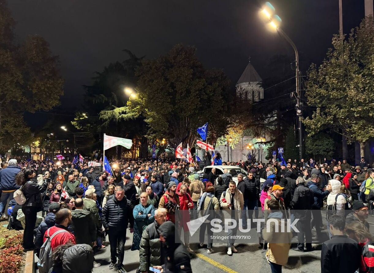 Georgia Protests