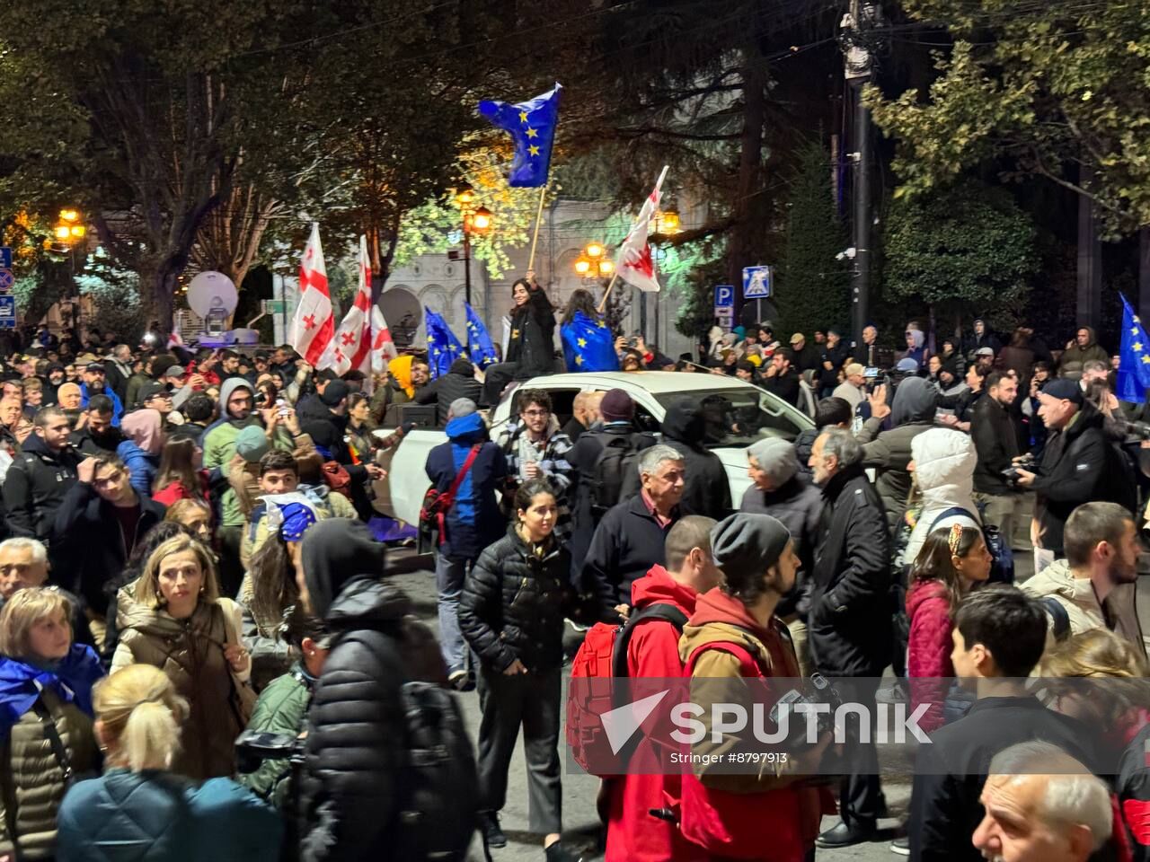 Georgia Protests