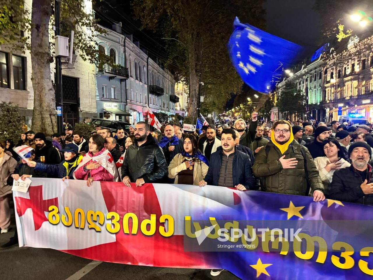 Georgia Protests