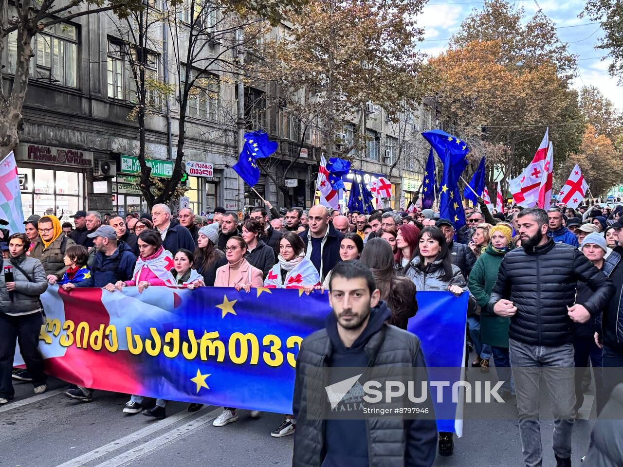 Georgia Protests