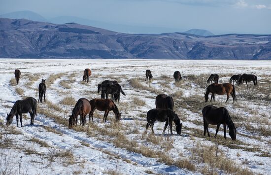 Russia Tourism Karachay-Cherkessia Bermamyt Plateau