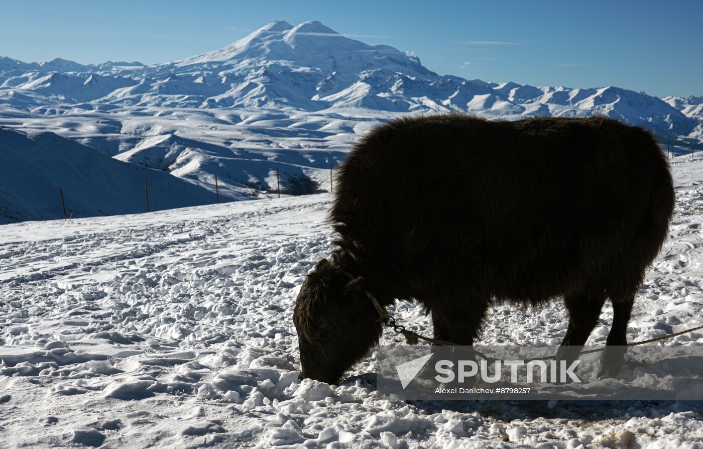 Russia Tourism Karachay-Cherkessia Bermamyt Plateau