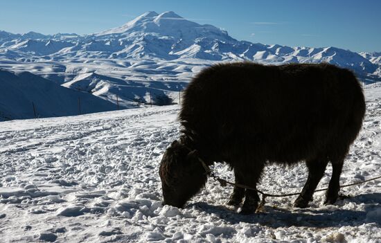 Russia Tourism Karachay-Cherkessia Bermamyt Plateau