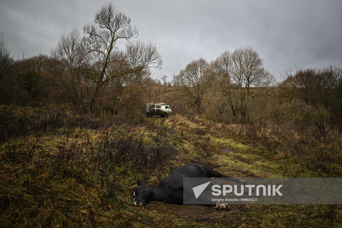 Russia Ukraine Kursk Attack Clooney Detachment