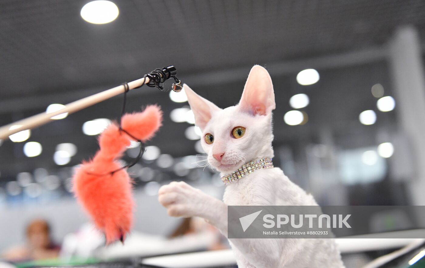 Russia Cat Show