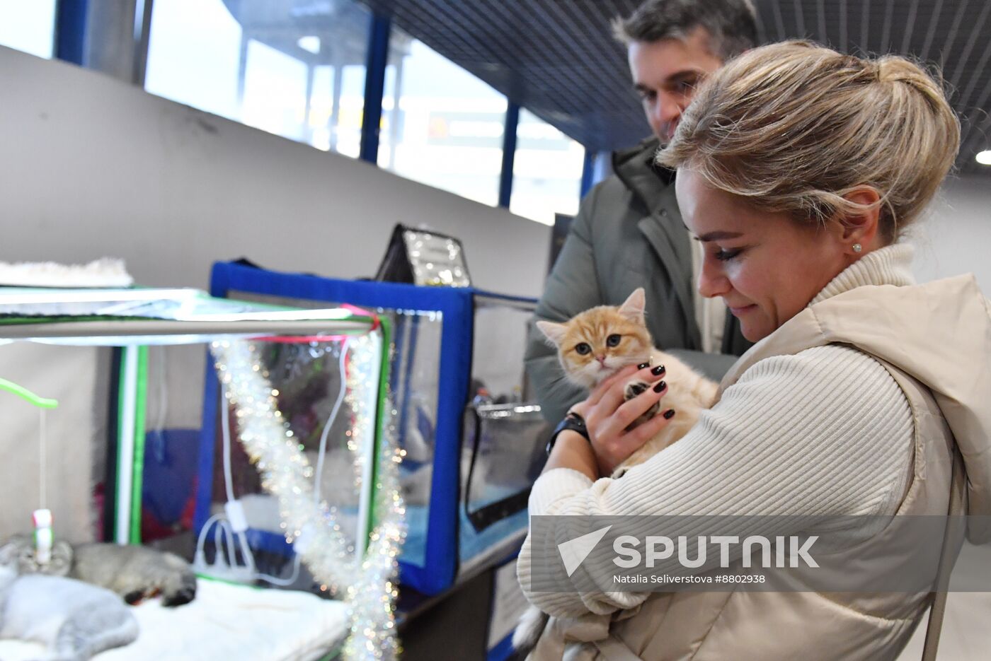 Russia Cat Show