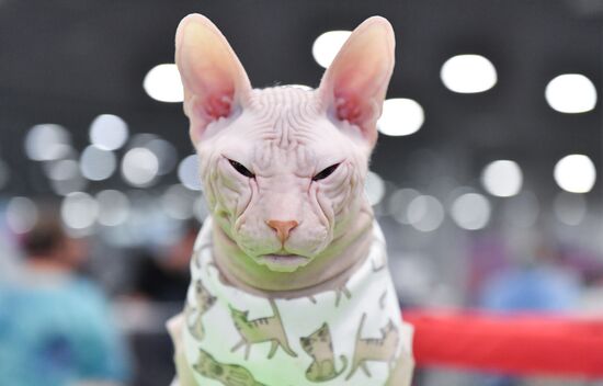 Russia Cat Show