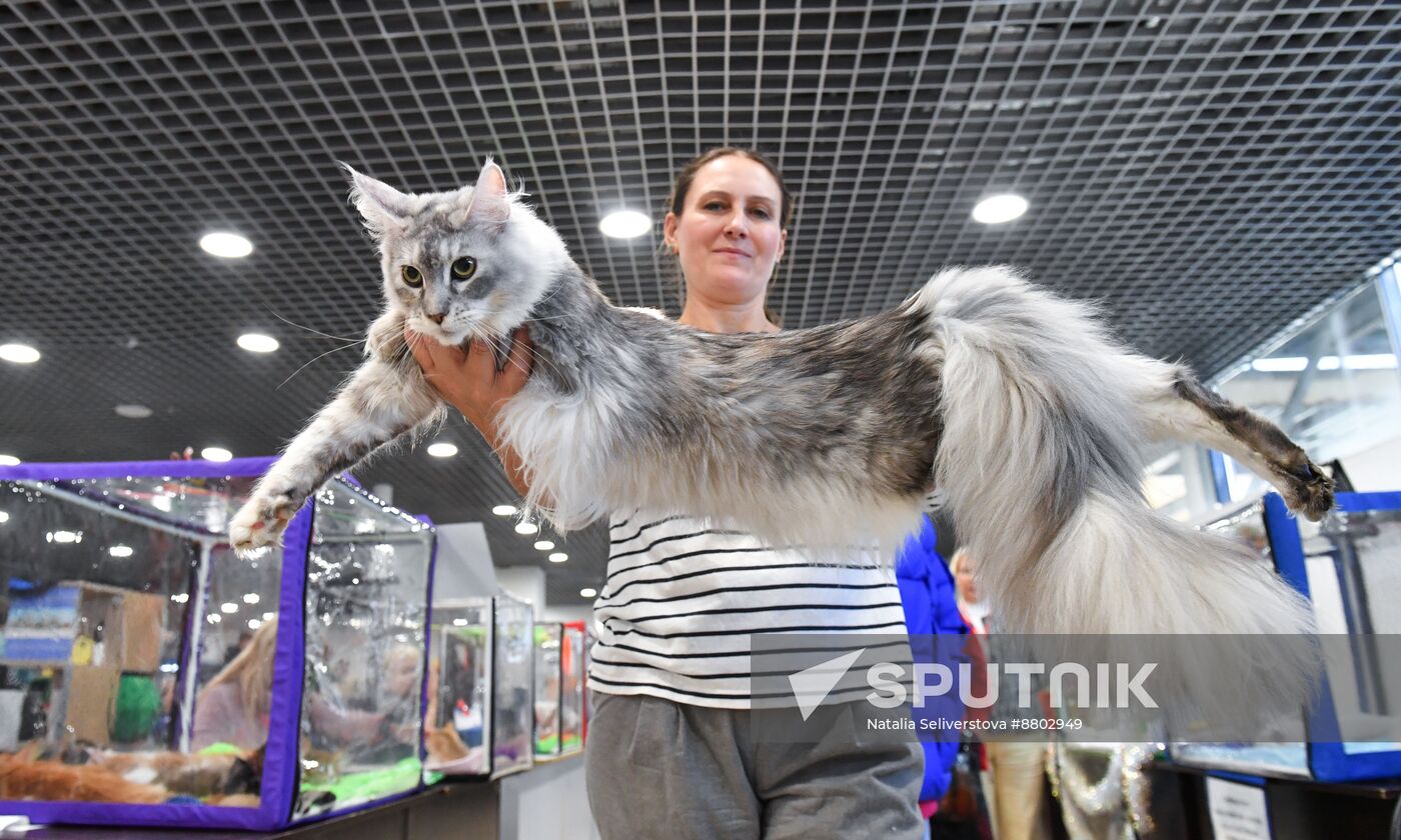 Russia Cat Show