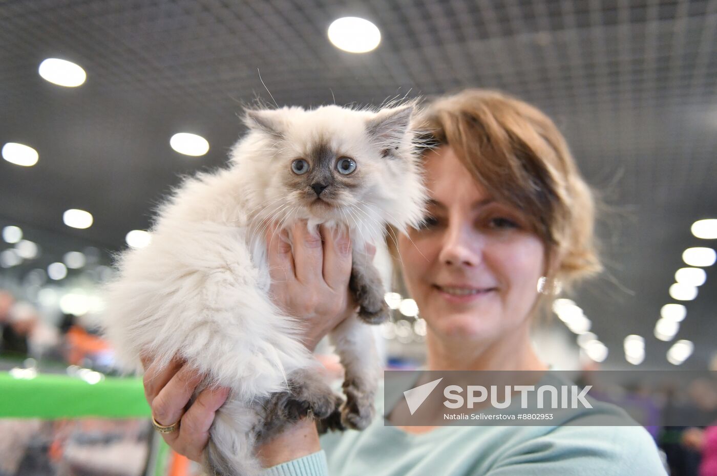 Russia Cat Show