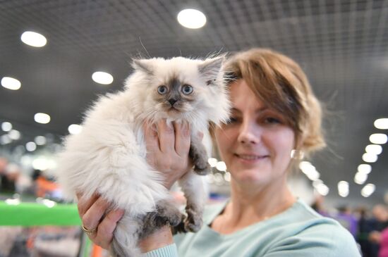 Russia Cat Show