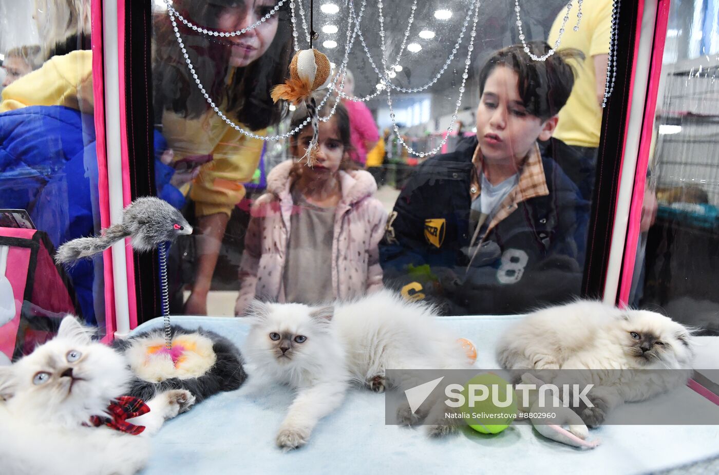 Russia Cat Show
