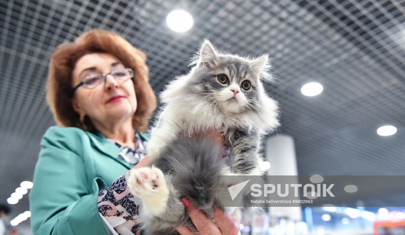 Russia Cat Show