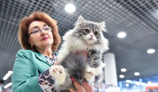 Russia Cat Show