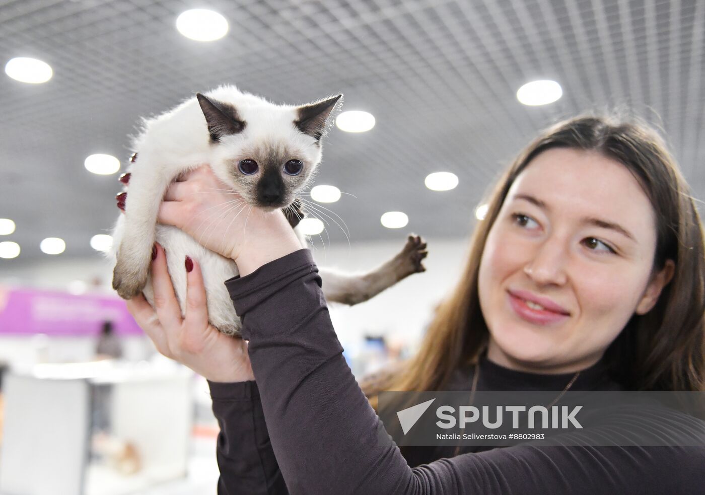 Russia Cat Show