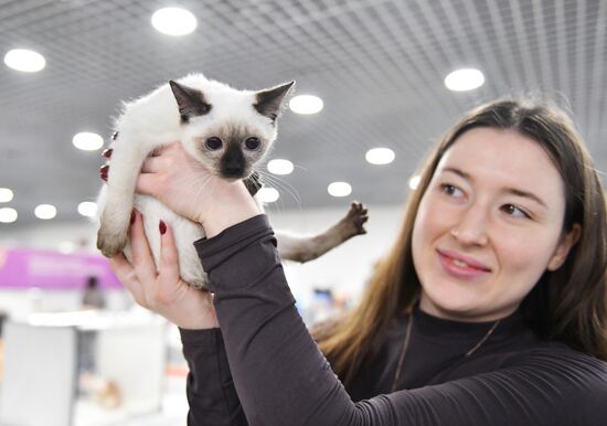 Russia Cat Show