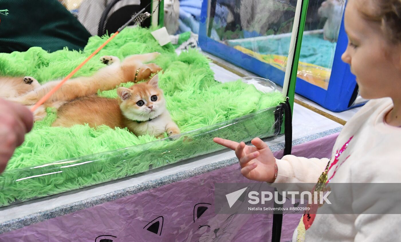 Russia Cat Show