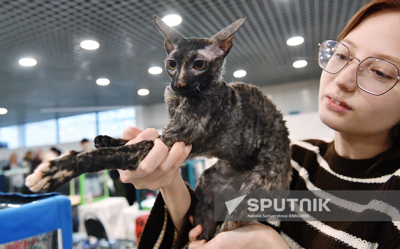 Russia Cat Show