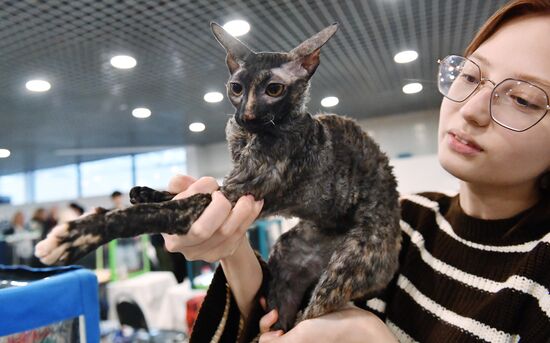 Russia Cat Show