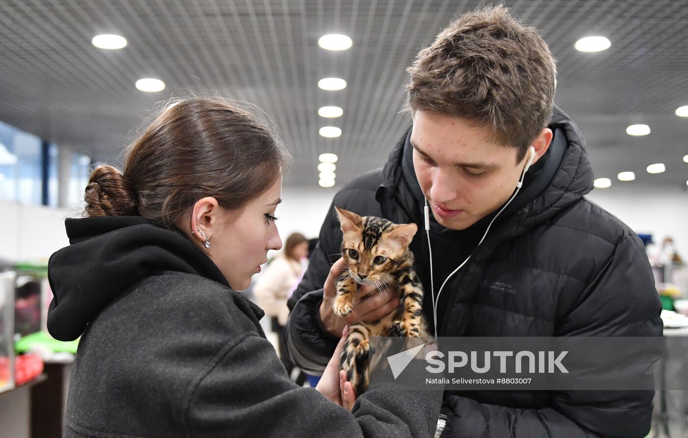 Russia Cat Show