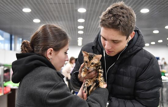 Russia Cat Show