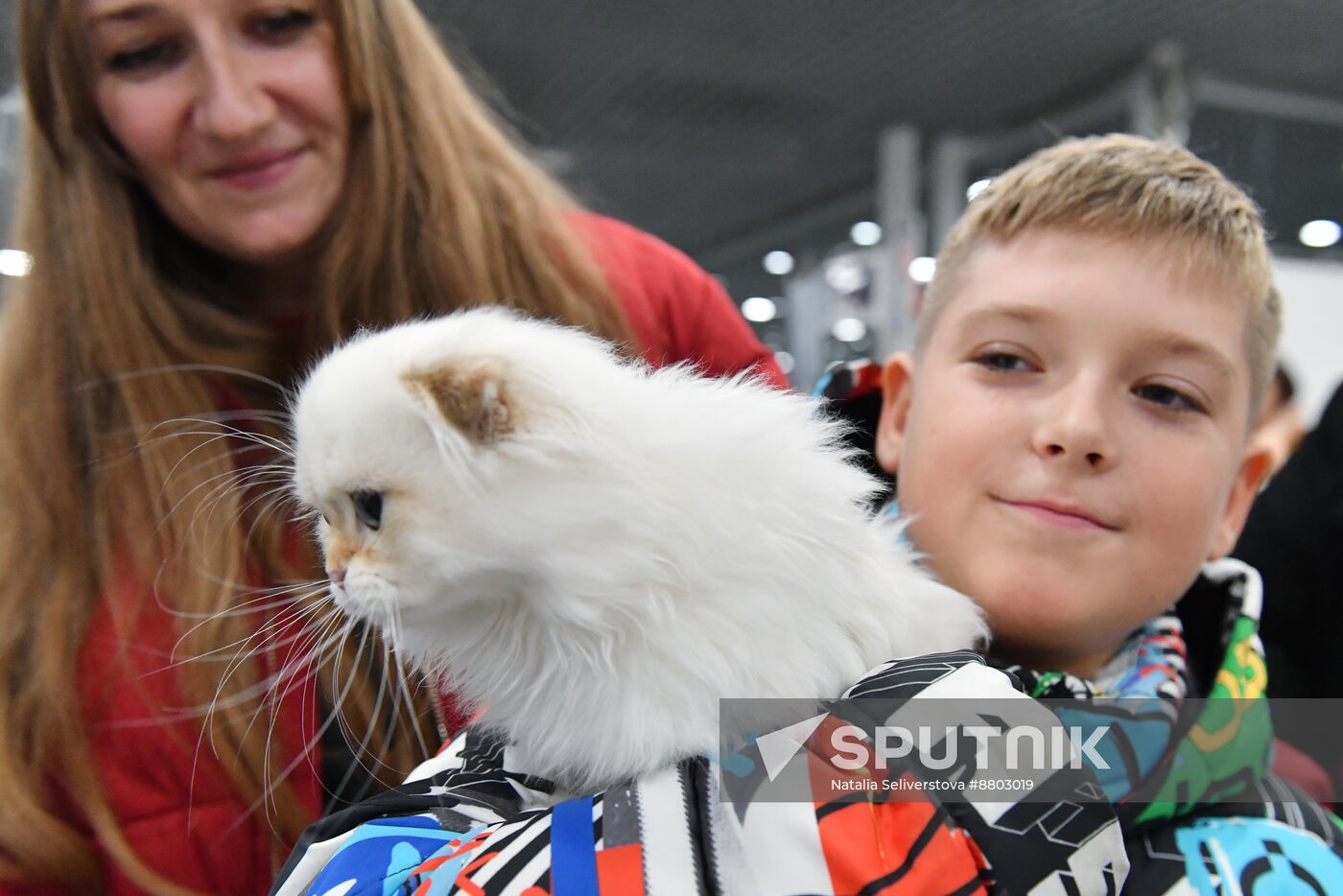 Russia Cat Show