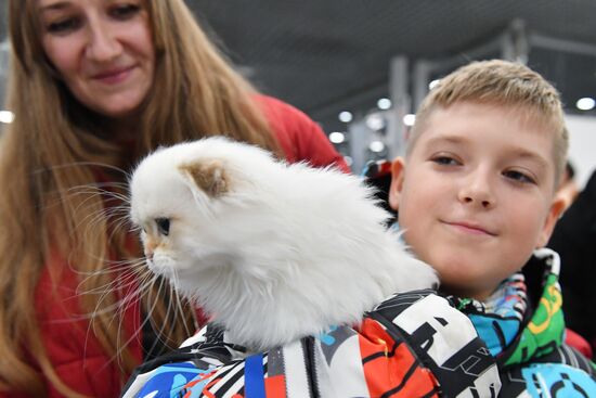 Russia Cat Show