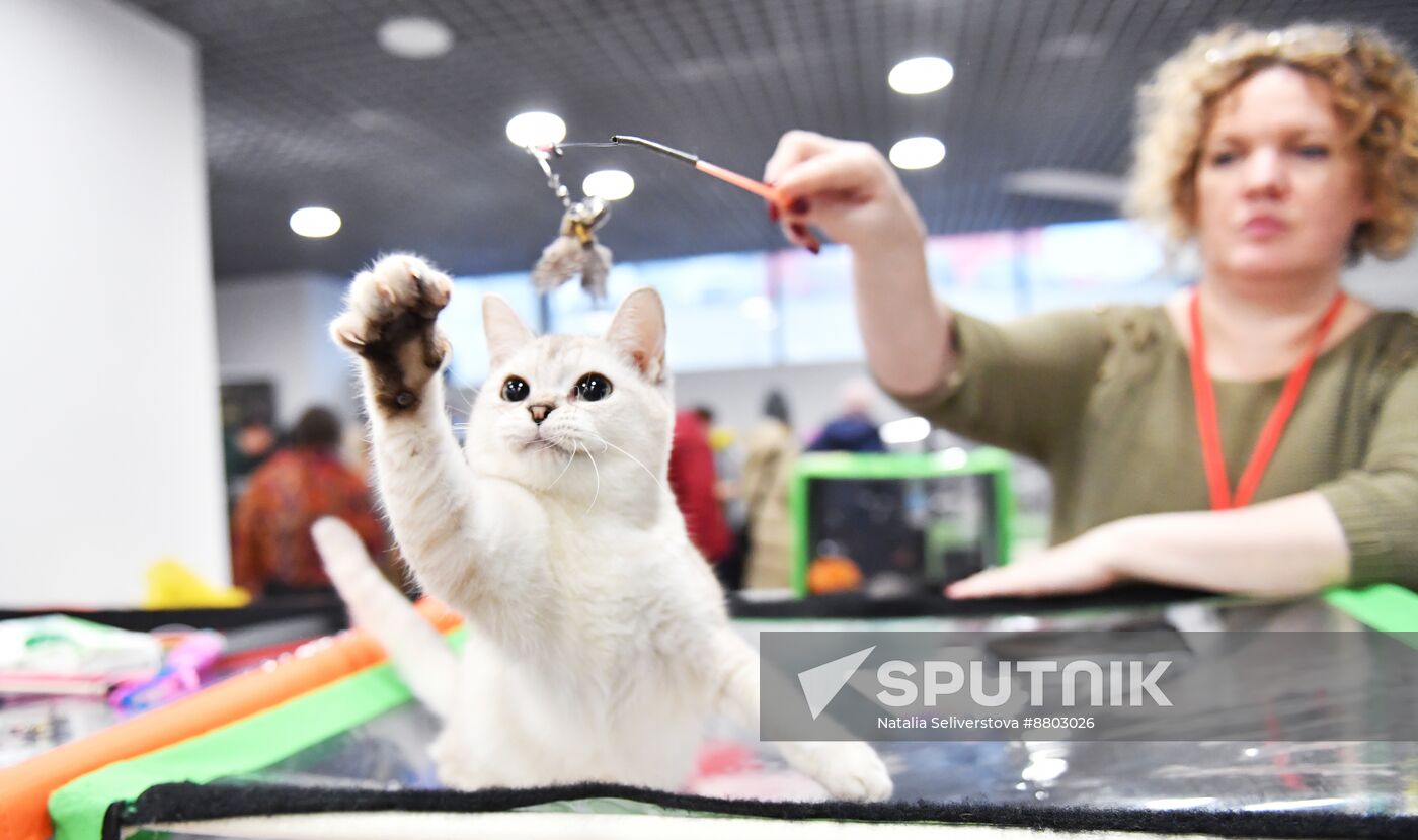 Russia Cat Show