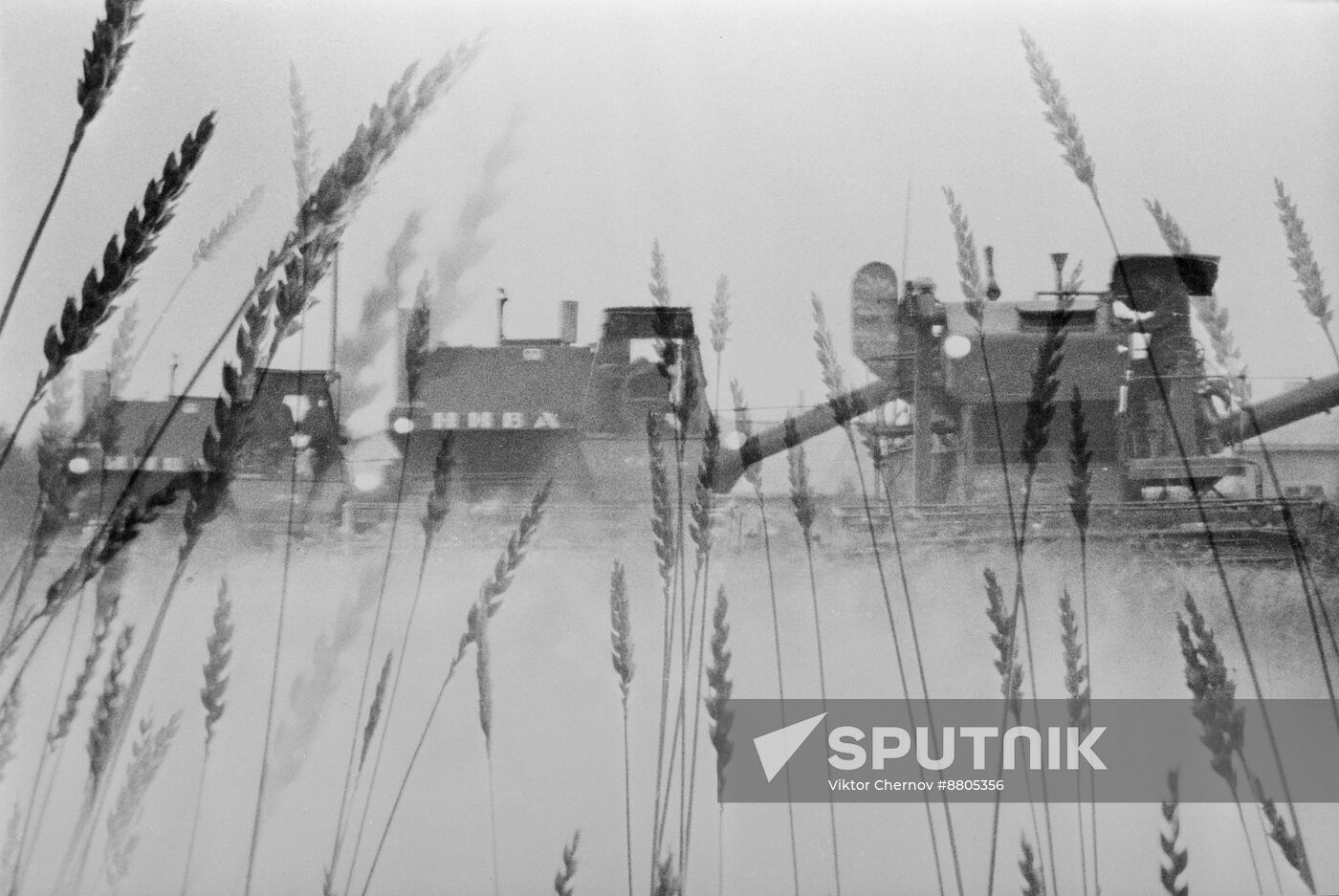 Karavayevo Kostroma Agricultural Institute