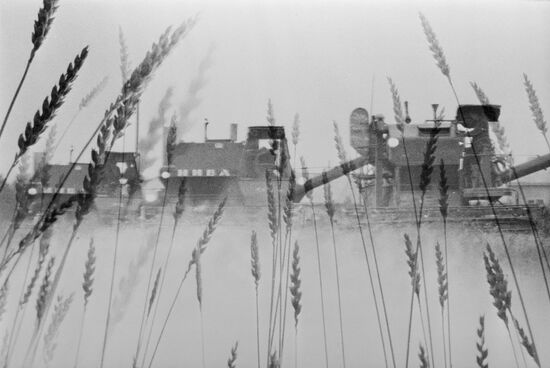 Karavayevo Kostroma Agricultural Institute