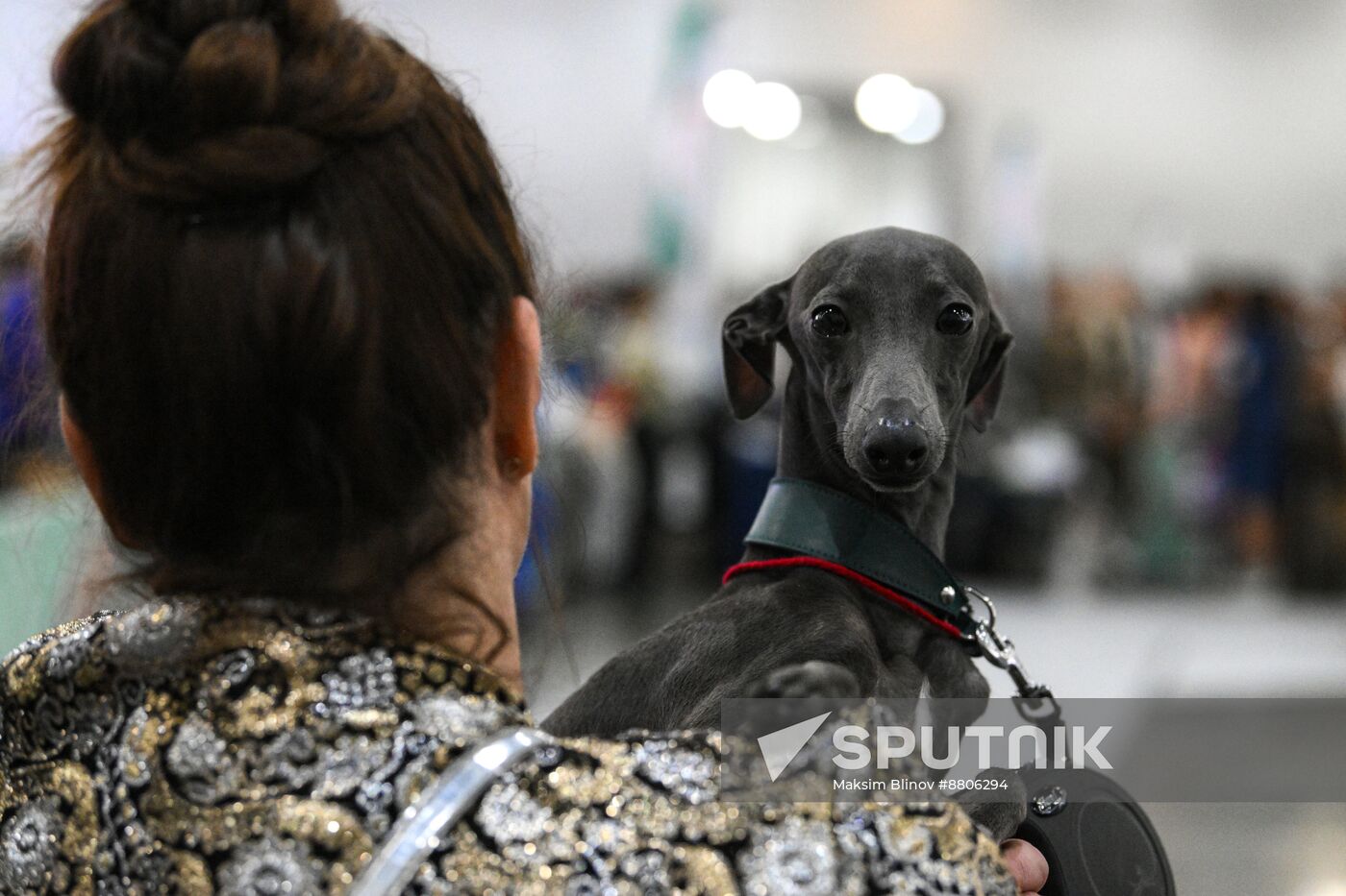 Russia Dog Show