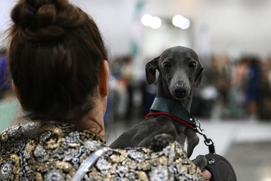 Russia Dog Show