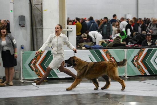 Russia Dog Show