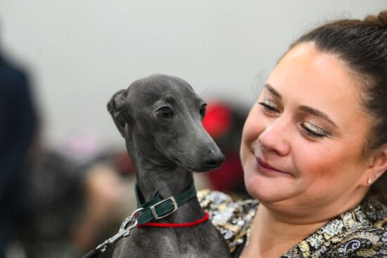 Russia Dog Show