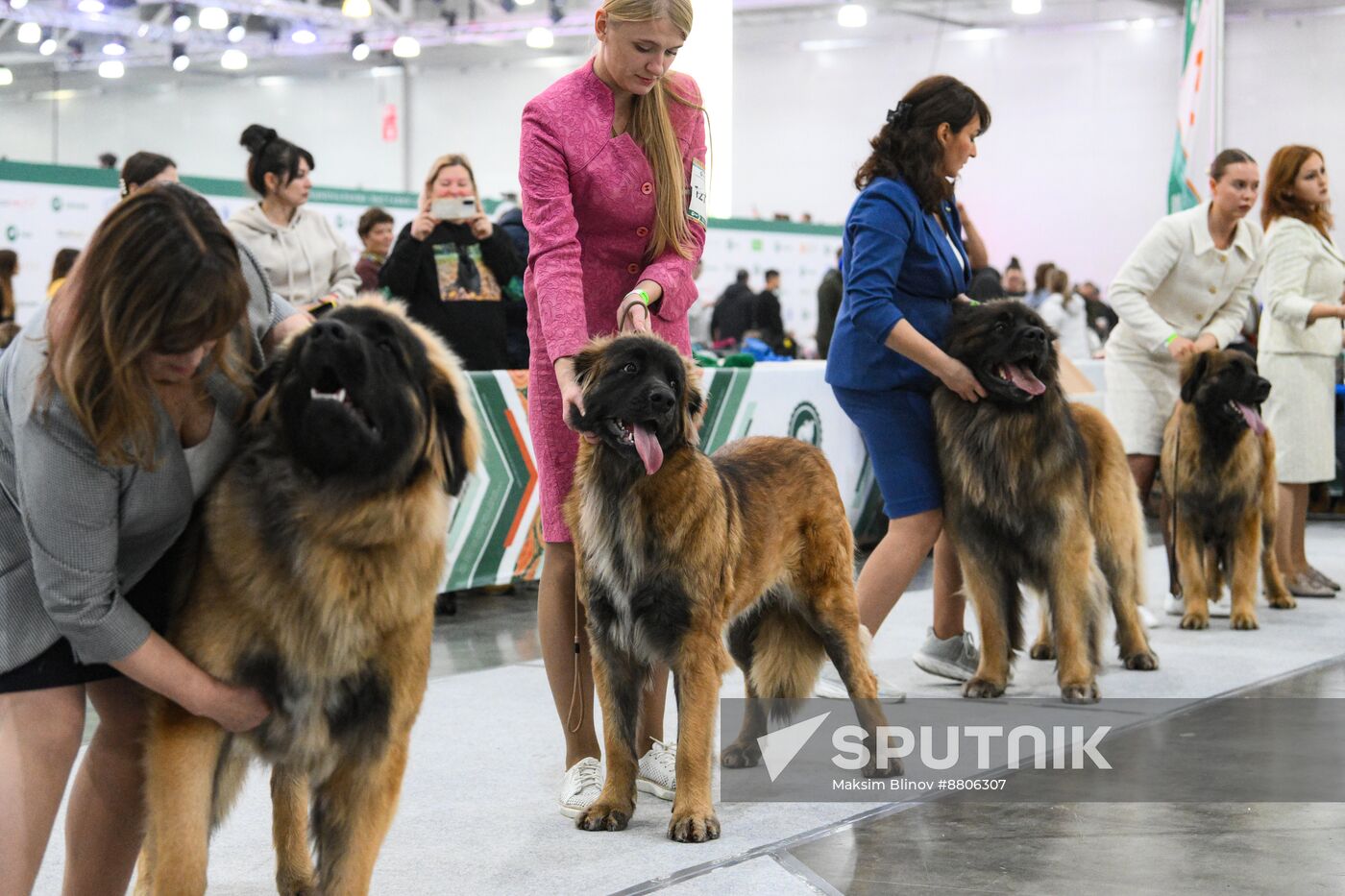 Russia Dog Show