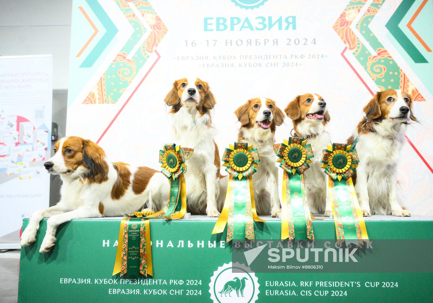 Russia Dog Show