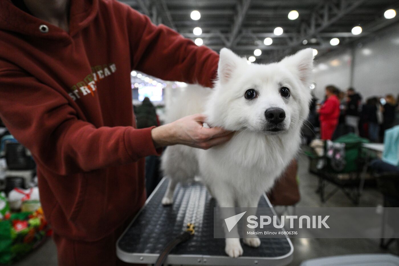 Russia Dog Show