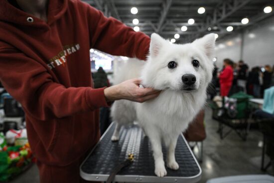 Russia Dog Show