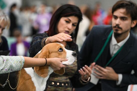 Russia Dog Show