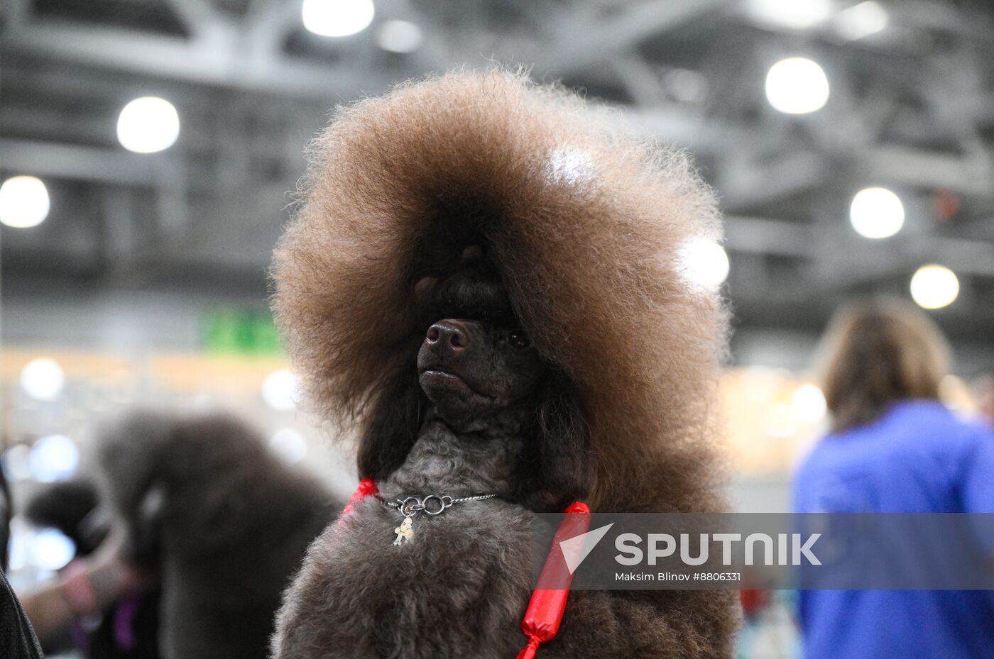 Russia Dog Show