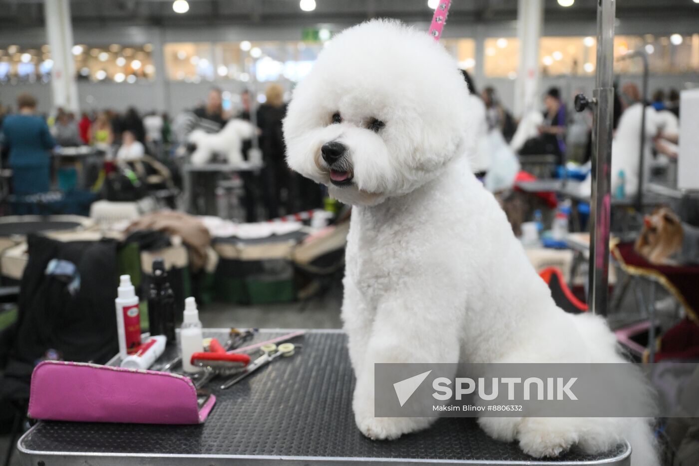 Russia Dog Show