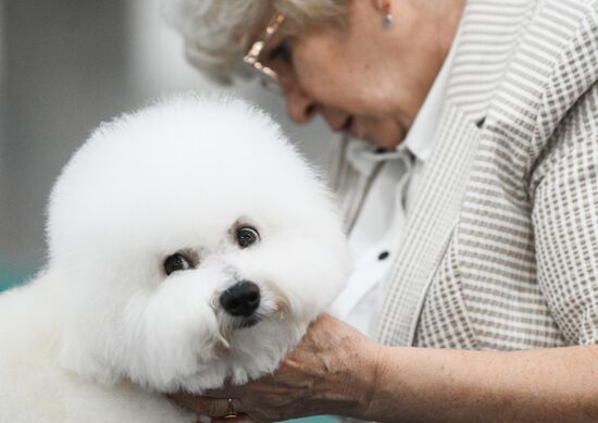 Russia Dog Show